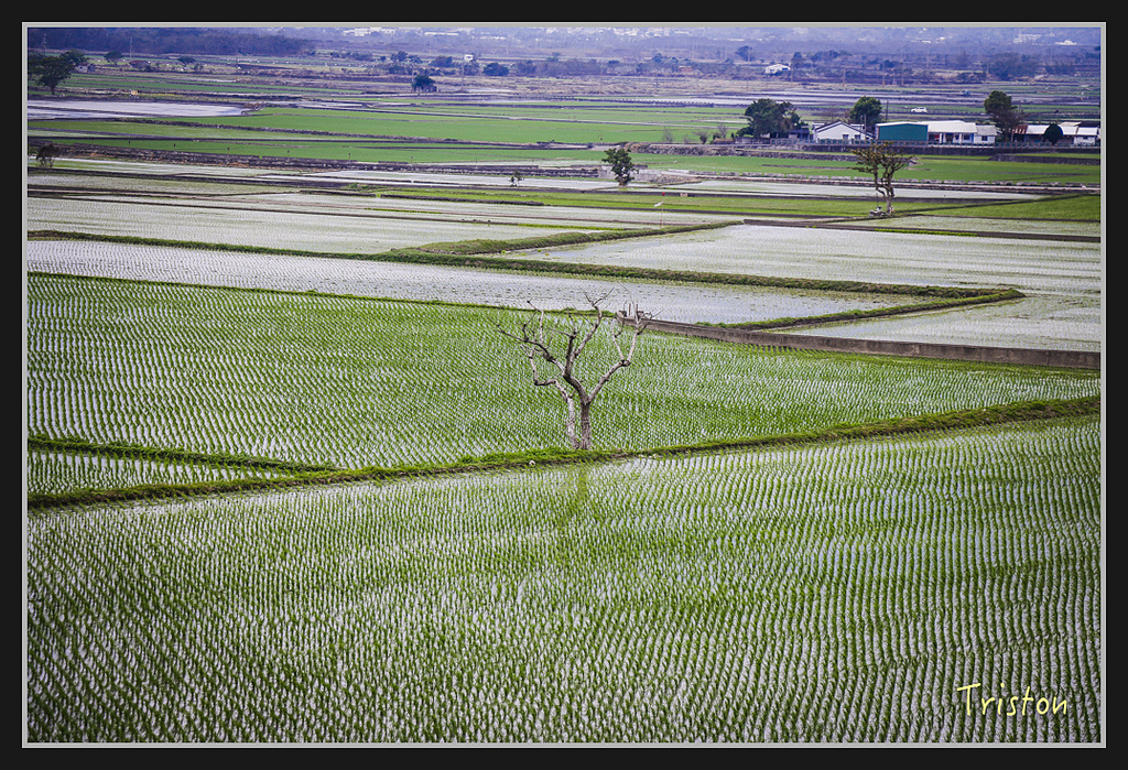 2017-02-27 10.03.54 下午 _MG_0729.jpg - 20170225 玉里瓦拉米