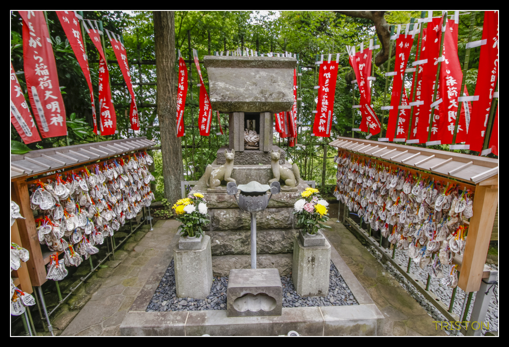_MG_1455.jpg - 20170702 靜岡東海道之旅