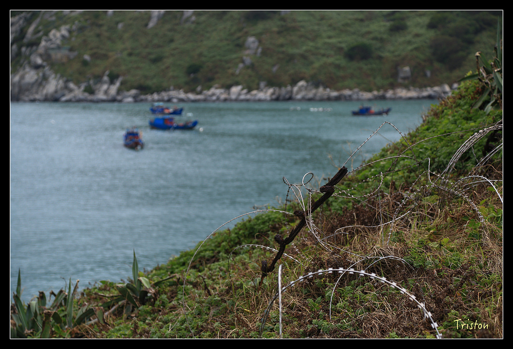 JH1A8375.jpg - 20150814 馬祖之旅