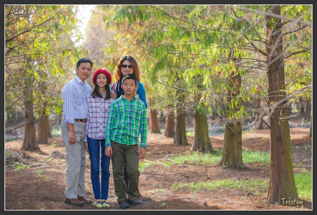 JH1A7991.jpg - 20160101 溪州落羽松 白水湖