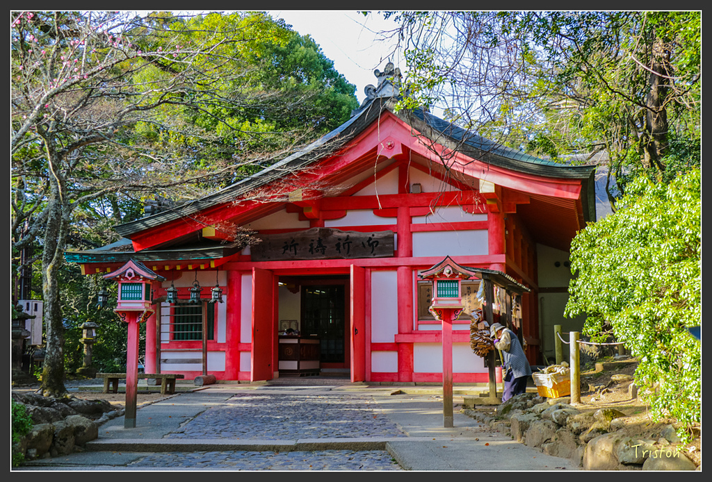 IMG_4107.jpg - 20160323 日本熊野古道健行