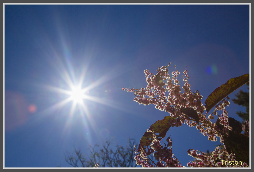 JH1A0239.jpg - 20161105 大雪山