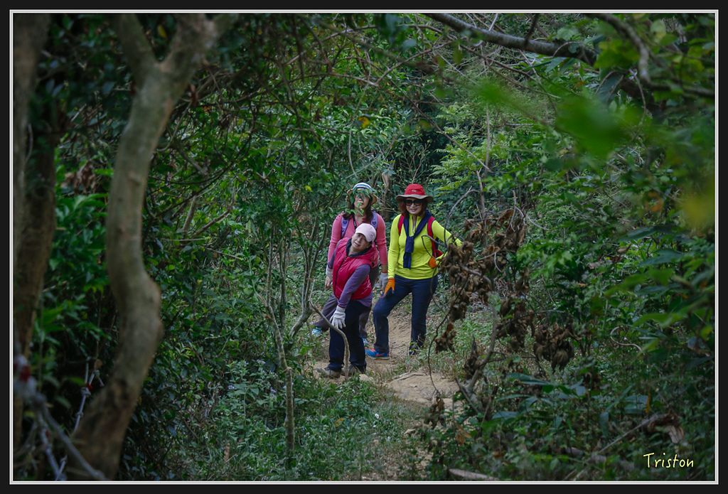 _MG_0664.jpg - 20170114 旗尾山