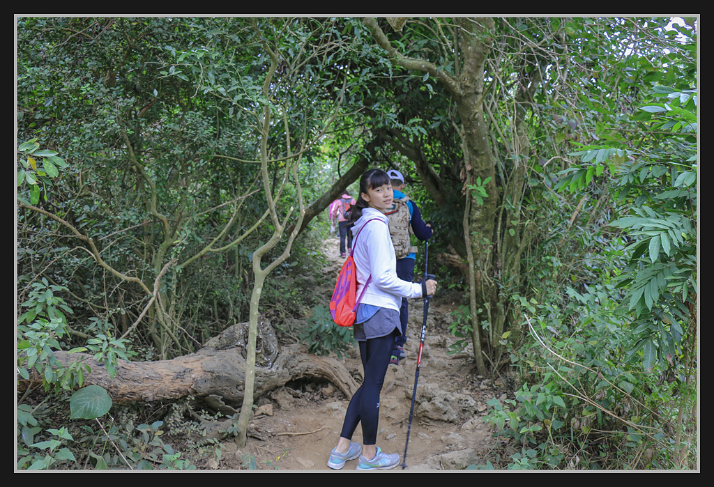 IMG_0005.jpg - 20170205 柴山盤榕雅座路線