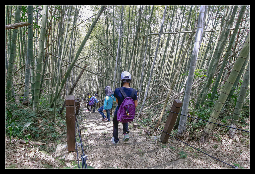 _MG_0124.jpg - 20170408 瑞太古道