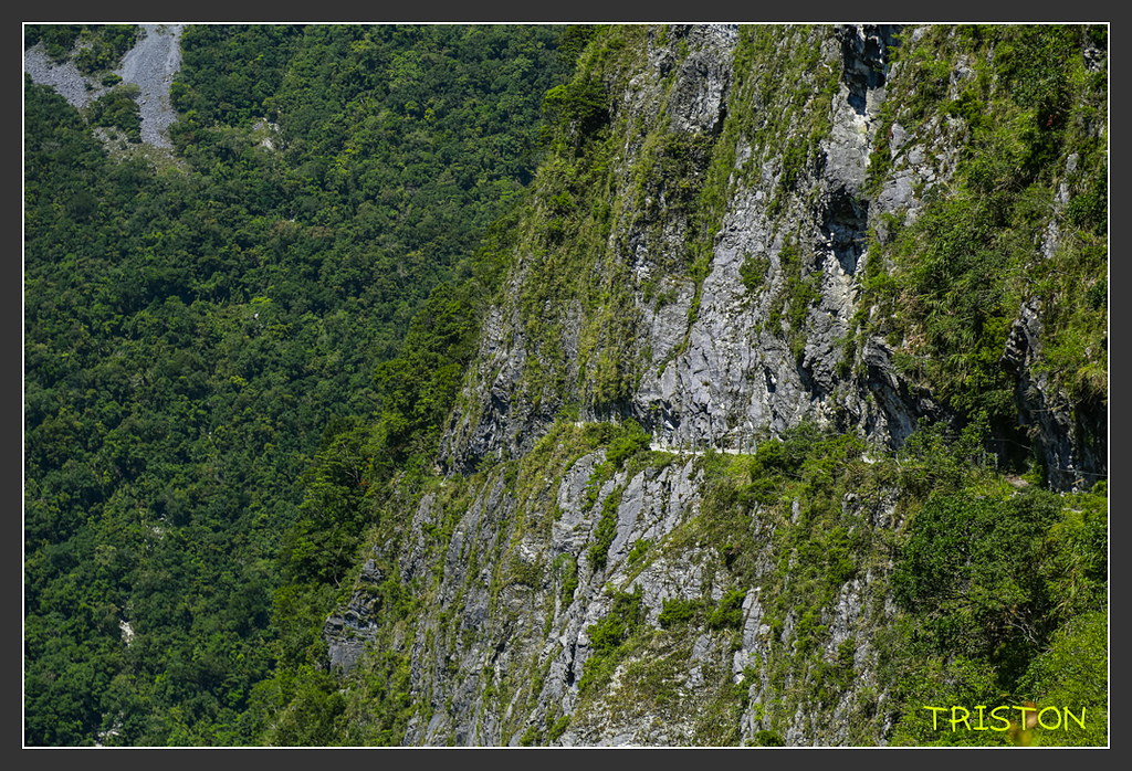 _H1A6372.jpg - 20170901 戀戀台九線