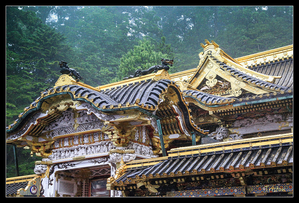 JH1A9973.jpg - 20150628 東京輕井澤日光