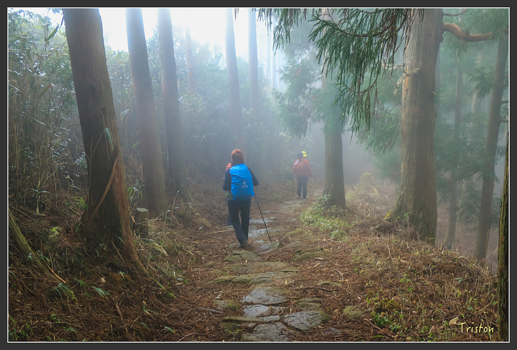IMG_5573.jpg - 20160323 日本熊野古道健行