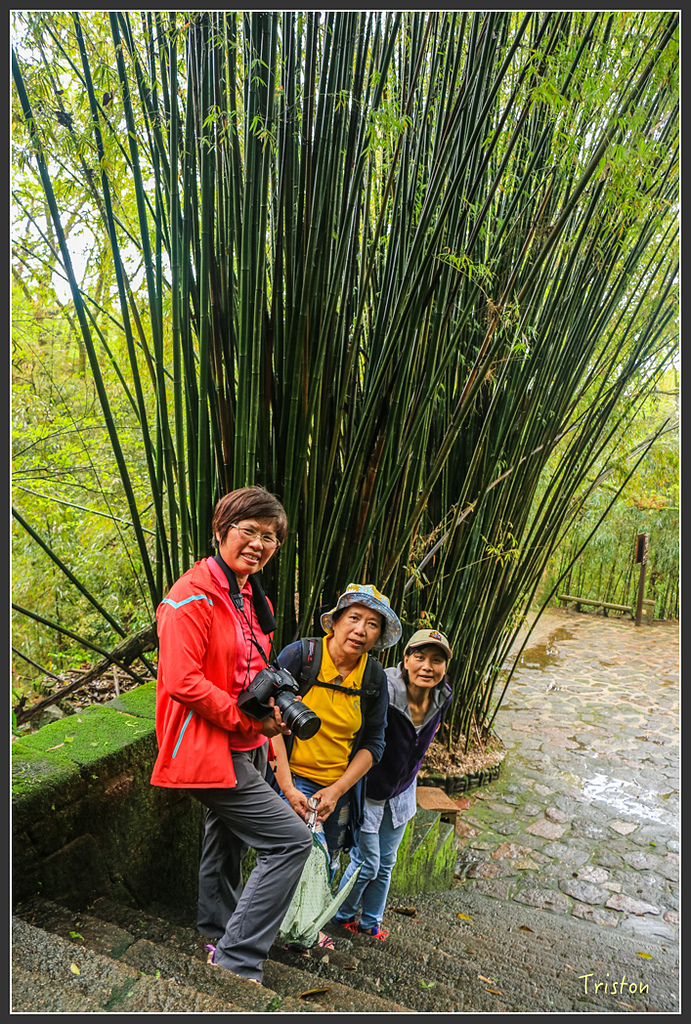 IMG_6446.jpg - 20160409 武夷山之旅