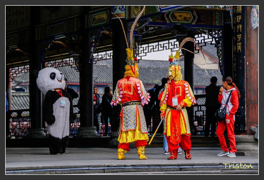 _MG_0042.jpg - 20161013 稻城亞丁