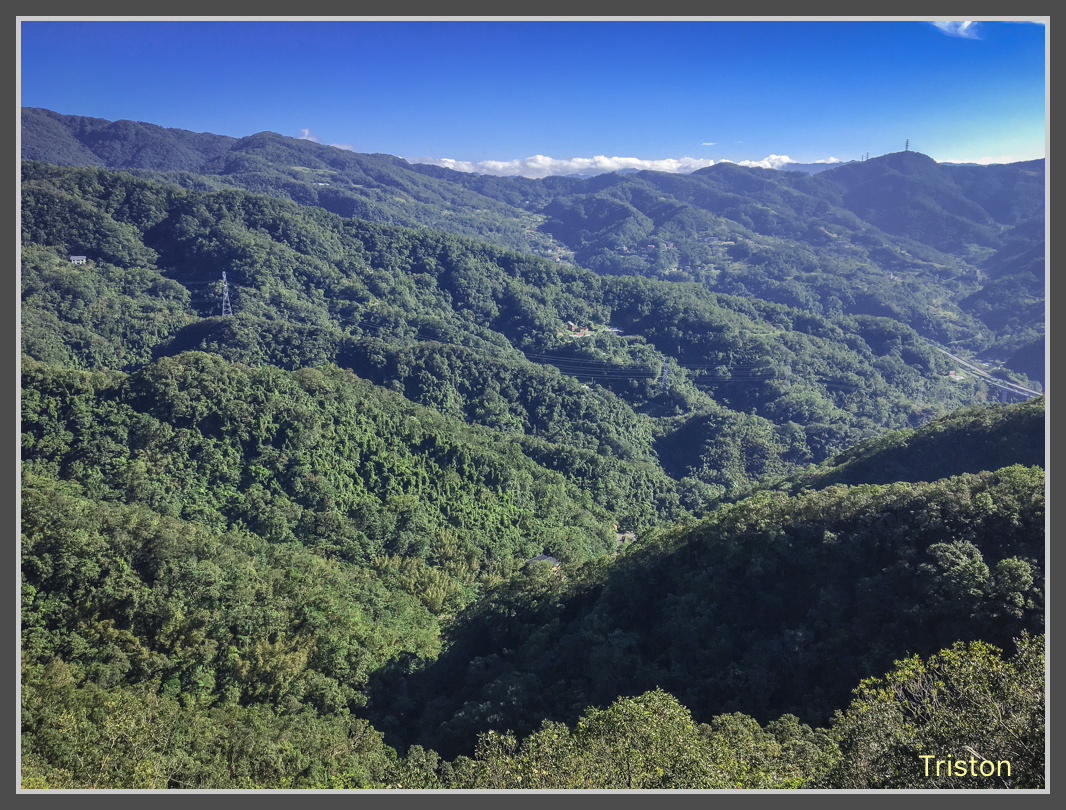 IMG_6539.jpg - 201161113 皇帝殿東西峰