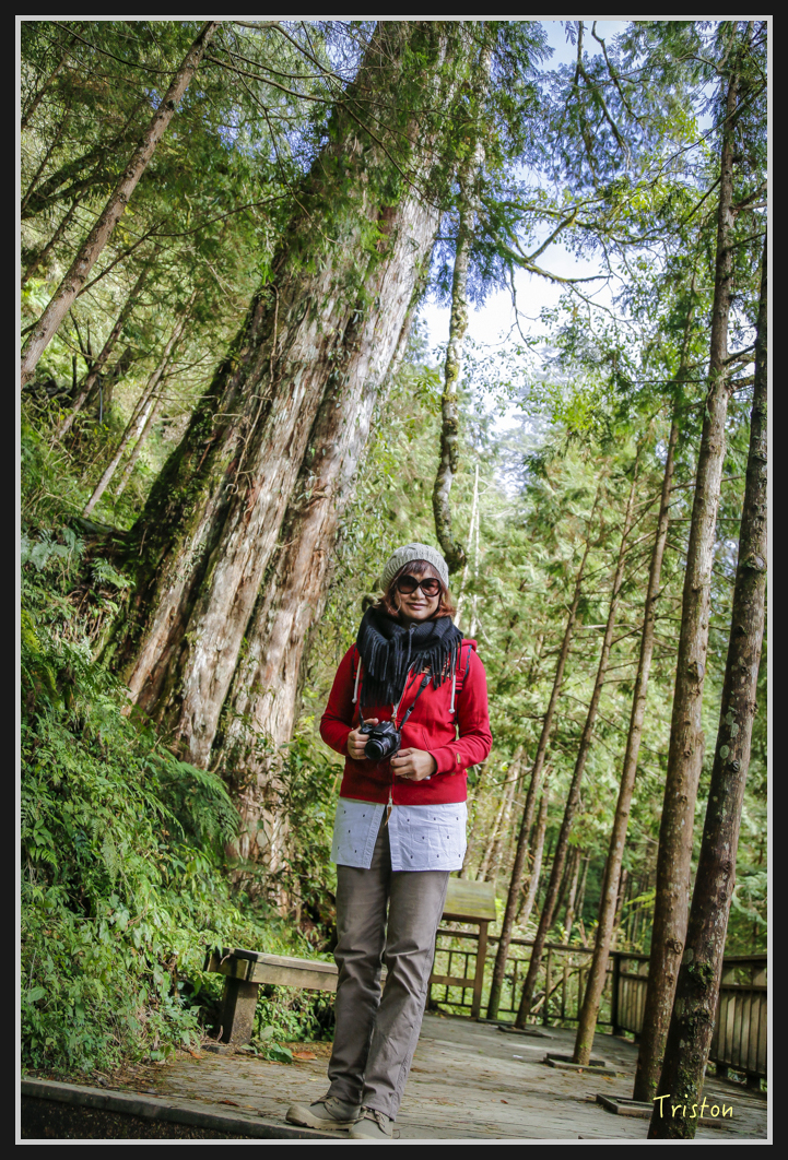 0083.jpg - 20161231 明池 神木園