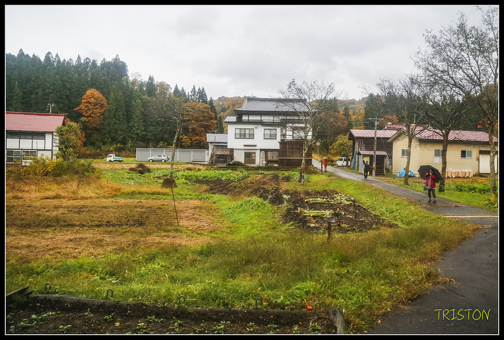 _H1A0842.jpg - 20171103 日本只見線、會津若松五色沼、昭和記念公園賞紅葉