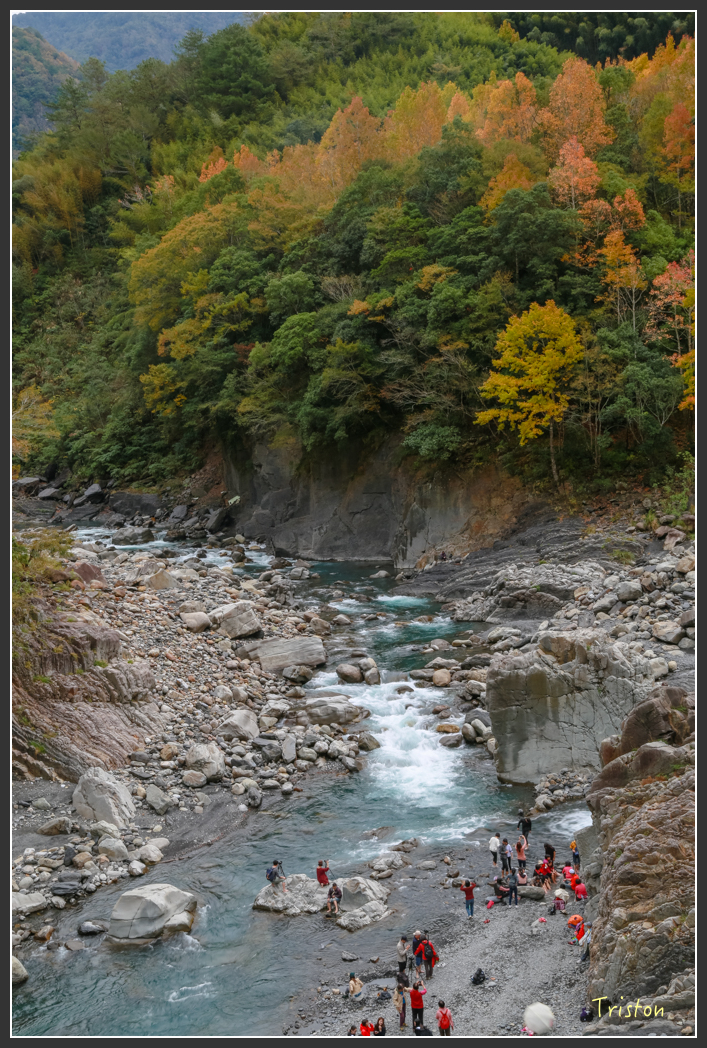 JH1A1321.jpg - 20151221 新竹秀巒賞楓