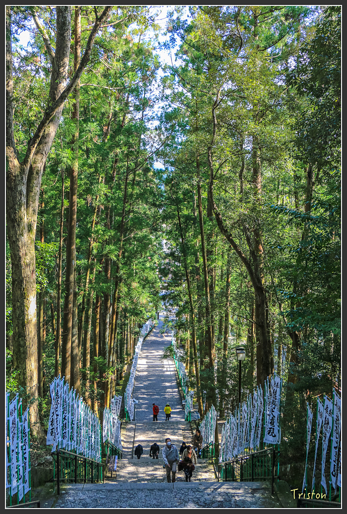 IMG_4934.jpg - 20160323 日本熊野古道健行