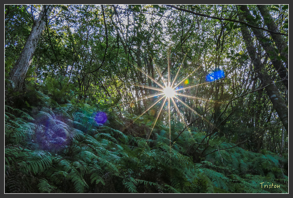 IMG_5061.jpg - 20160323 日本熊野古道健行