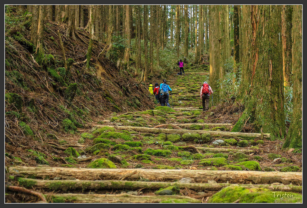 IMG_5429.jpg - 20160323 日本熊野古道健行
