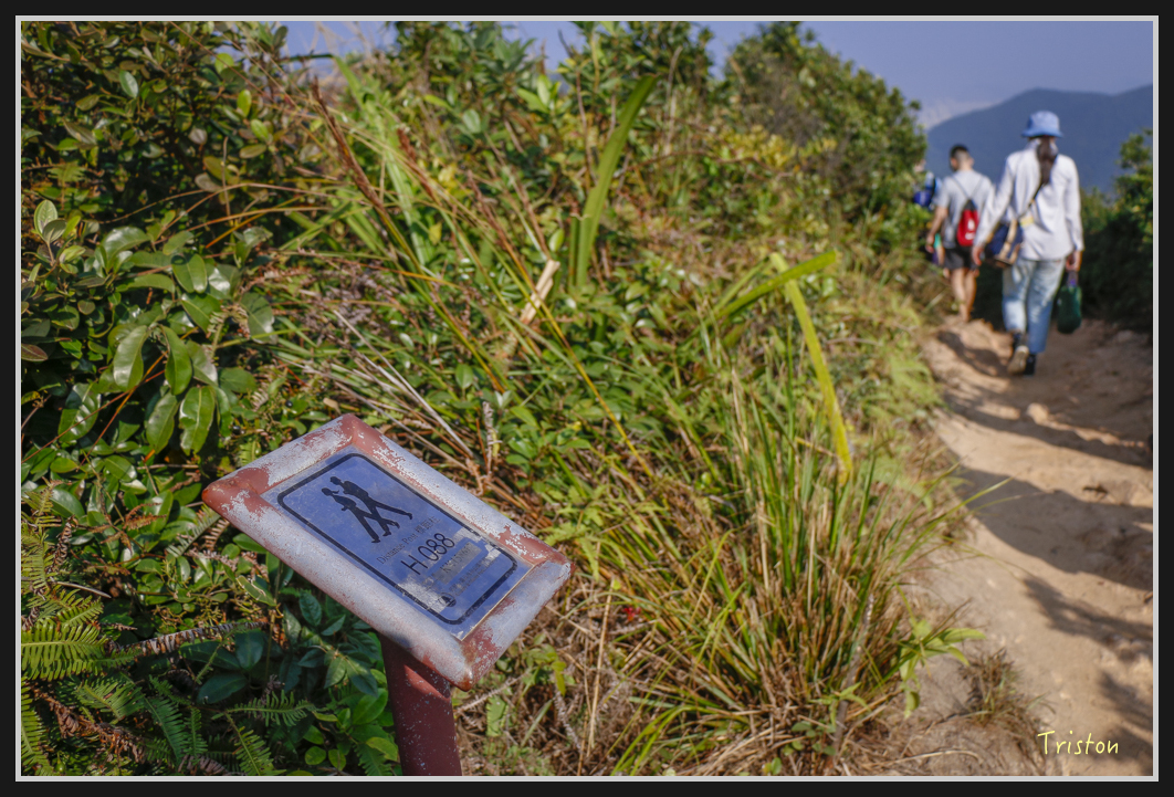 00155.jpg - 20170107 香港健行