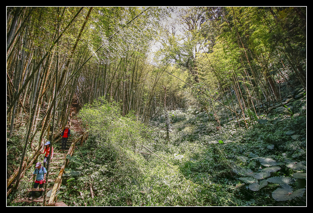 _MG_0148.jpg - 20170408 瑞太古道