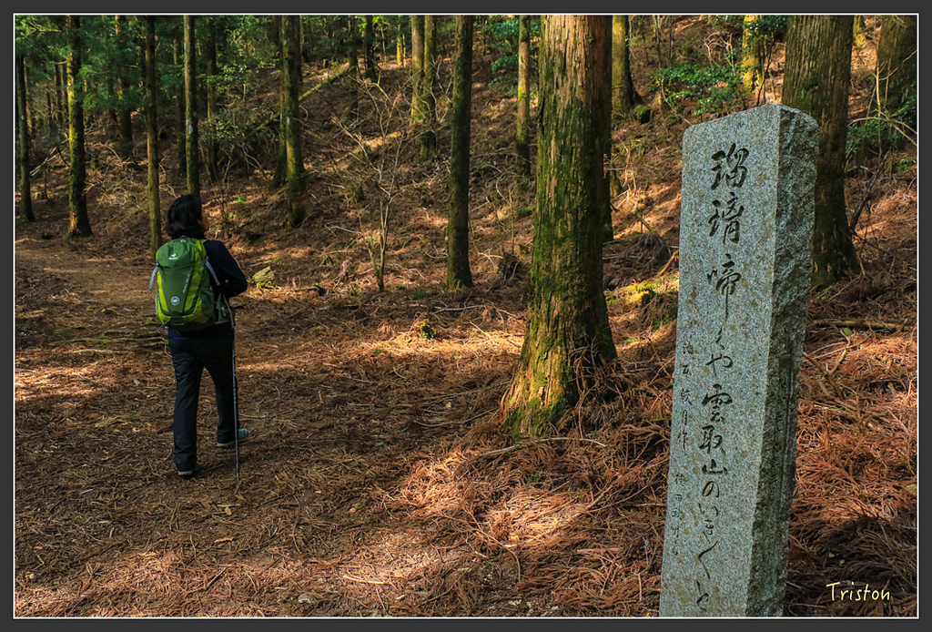 IMG_5450.jpg - 20160323 日本熊野古道健行