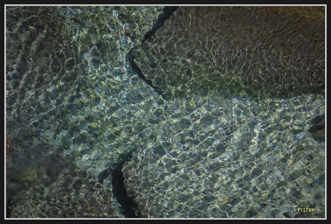 IMG_0708.jpg - 20170111 龍頭山步道、羅木斯步道、茂林谷瀑布