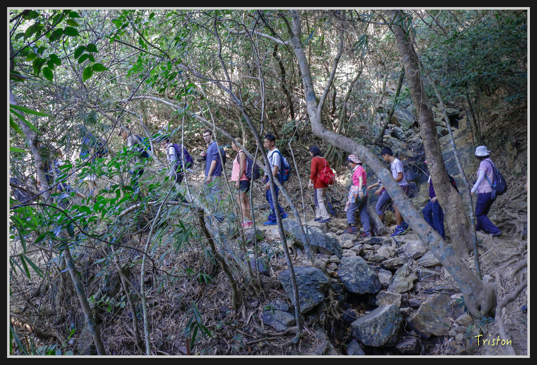 00170.jpg - 20170107 香港健行