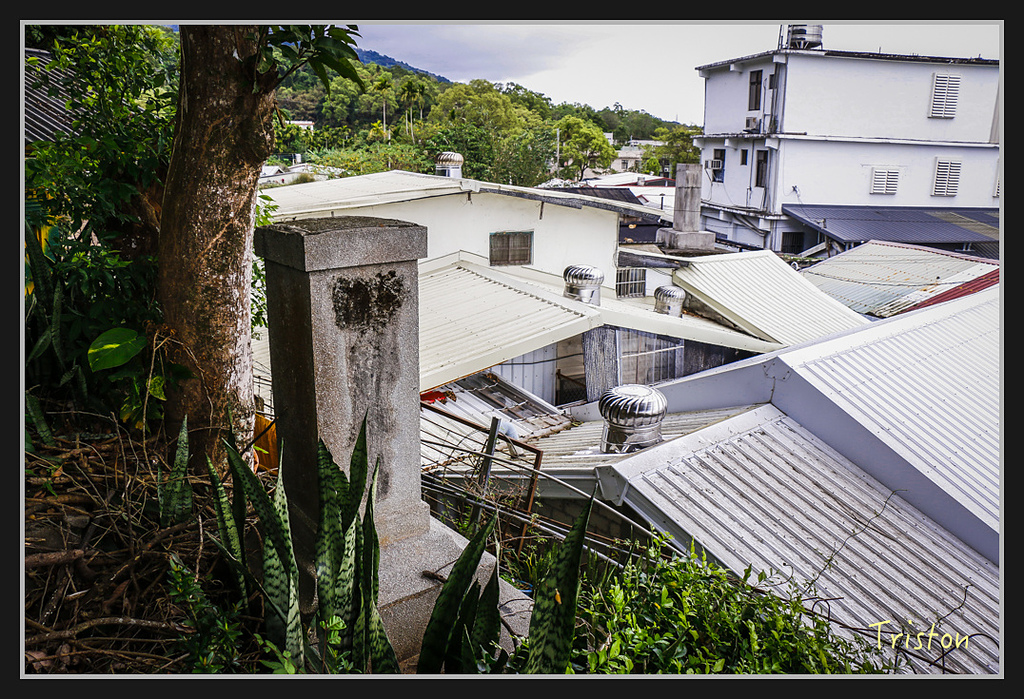 2017-02-27 10.03.53 下午 _MG_0075.jpg - 20170225 玉里瓦拉米