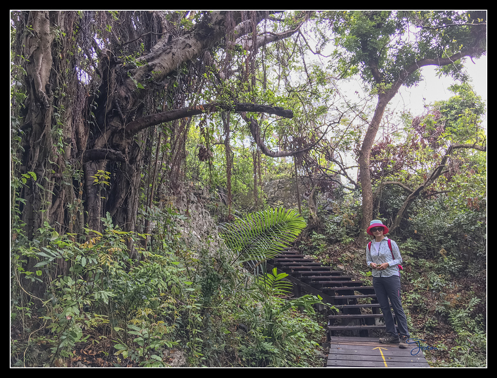 IMG_2761.jpg - 20170422 左營龜山步道、舊城