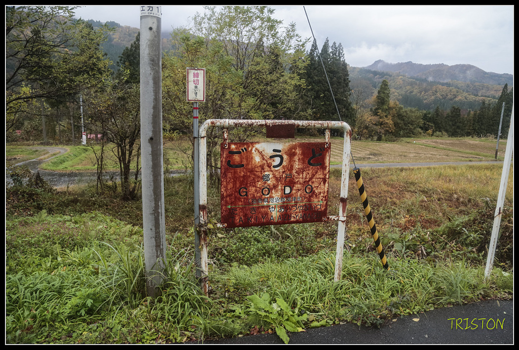 _H1A0273.jpg - 20171103 日本只見線、會津若松五色沼、昭和記念公園賞紅葉