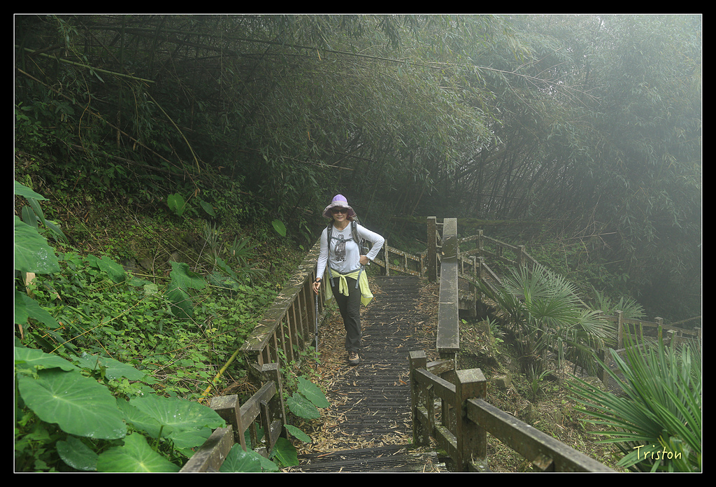 JH1A9740.jpg - 20150920 石棹,霧之道 茶之道 雲之道