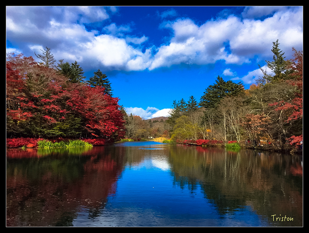 S__7536649.jpg - 20151031 秋天的童話-貴婦東京輕井澤紀行