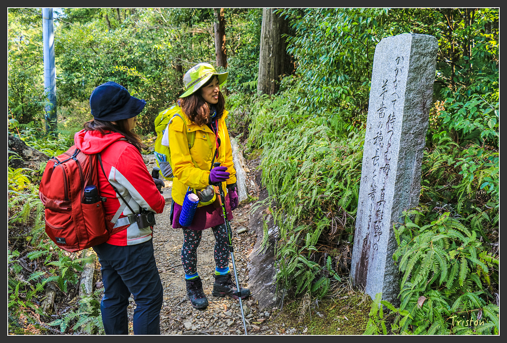 IMG_5172.jpg - 20160323 日本熊野古道健行