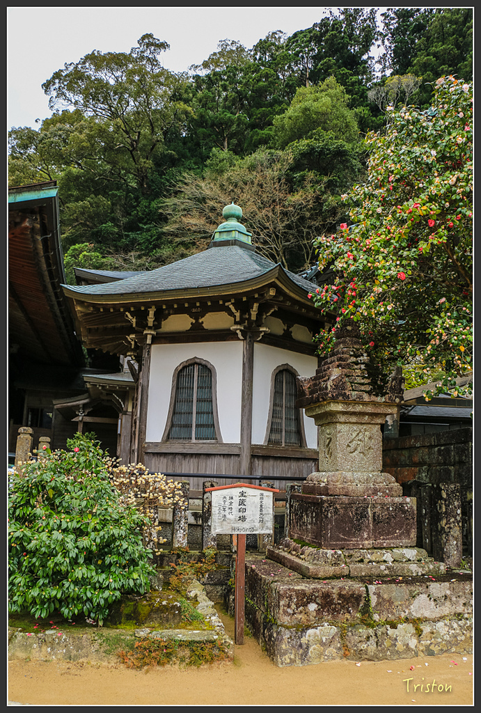 IMG_5617.jpg - 20160323 日本熊野古道健行