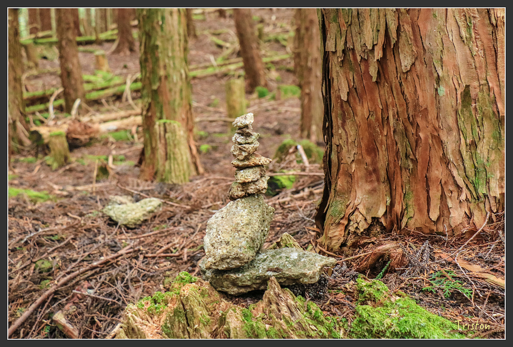 IMG_5460.jpg - 20160323 日本熊野古道健行