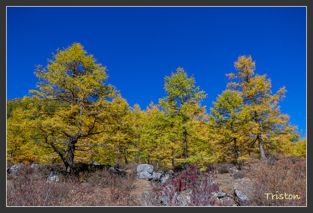 _MG_2115.jpg - 20161013 稻城亞丁