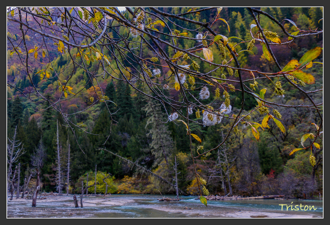 _MG_1037.jpg - 20161013 稻城亞丁