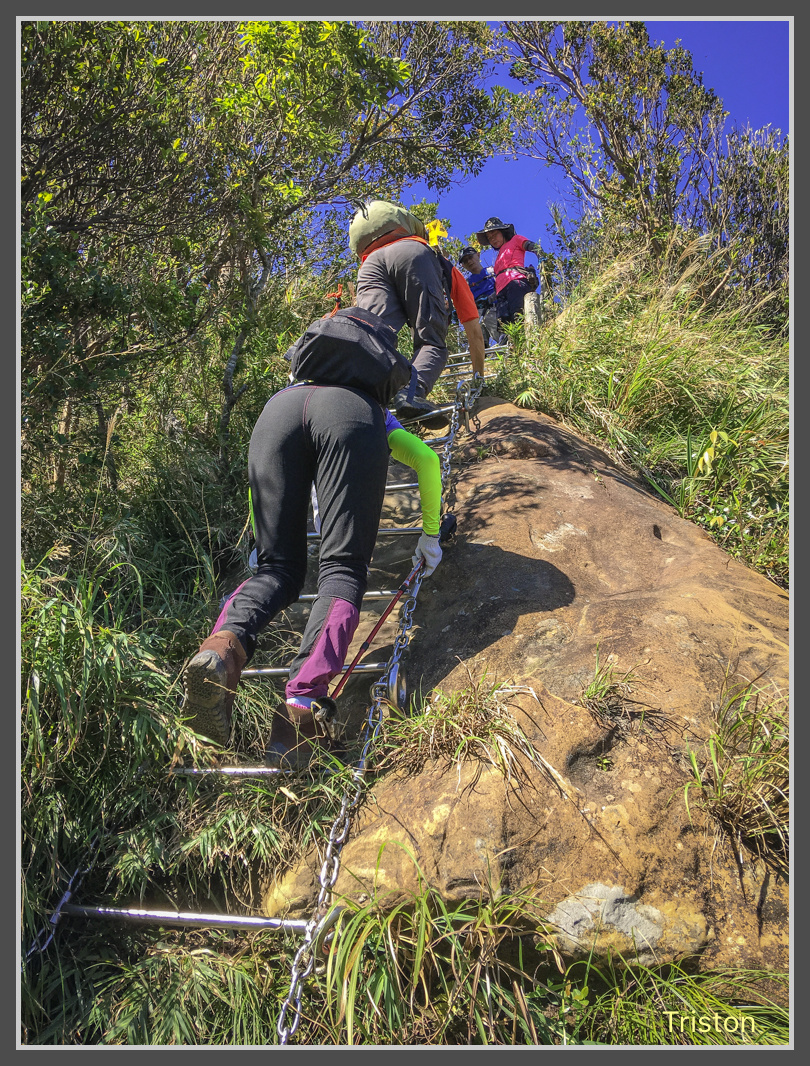 IMG_9000.jpg - 201161113 皇帝殿東西峰