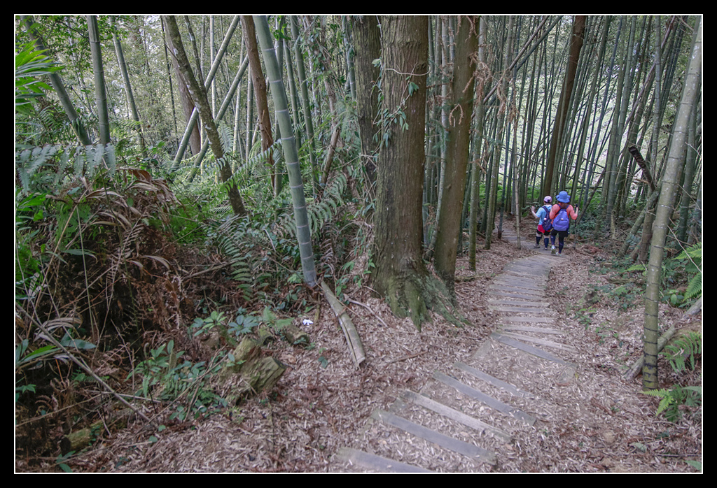 _MG_0161.jpg - 20170408 瑞太古道