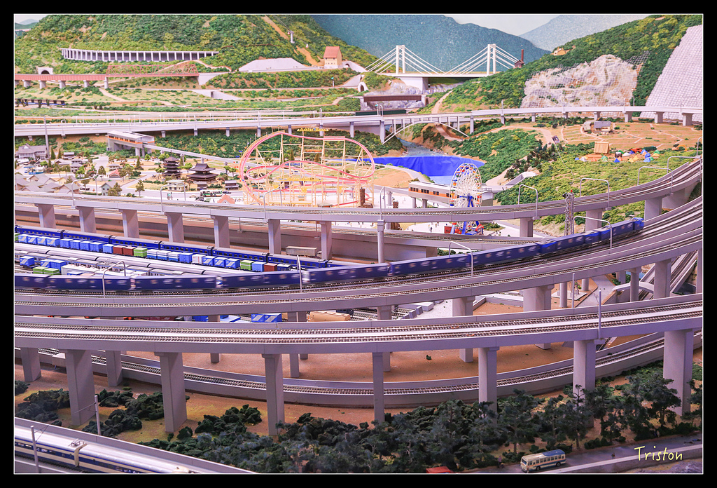 JH1A0324.jpg - 20150628 東京輕井澤日光