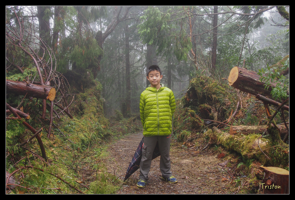 PA240164.jpg - 20151024~25 幾米公園、翠峰湖、翠峰山屋、望洋山步道、山毛櫸步道