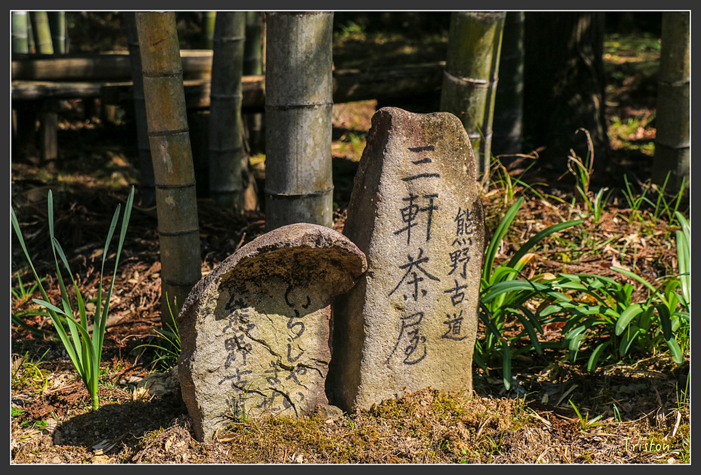 IMG_4837.jpg - 20160323 日本熊野古道健行