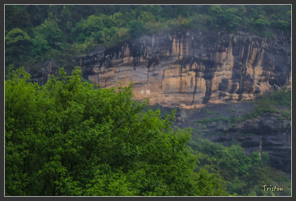IMG_6805.jpg - 20160409 武夷山之旅