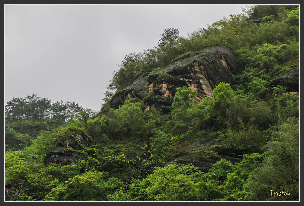 IMG_6775.jpg - 20160409 武夷山之旅