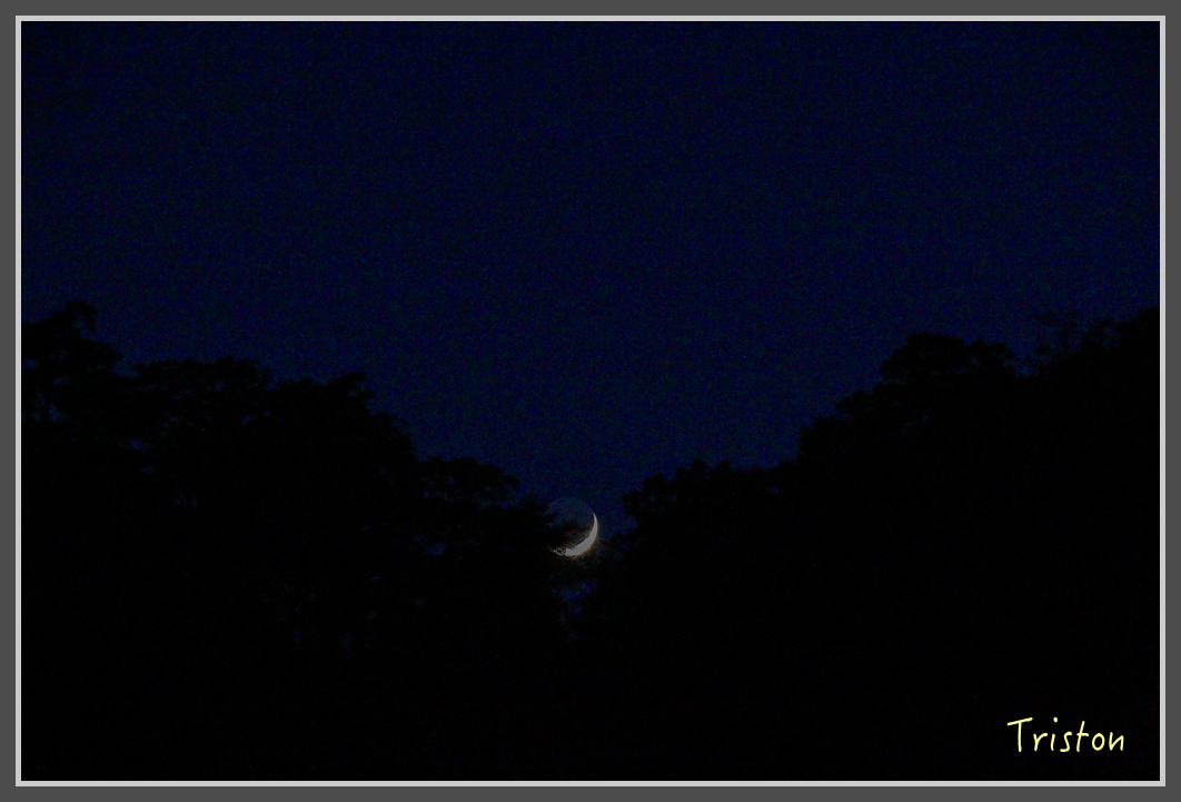 _MG_0059.jpg - 20161203 鎮西堡