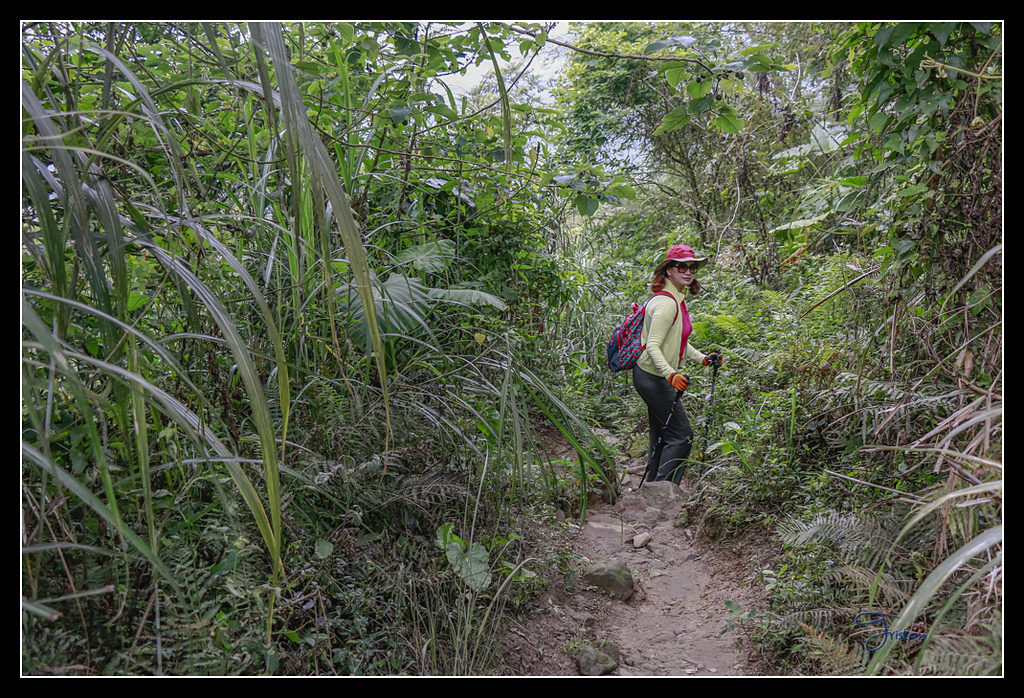 _MG_0137.jpg - 20170429 關仔嶺雞籠山