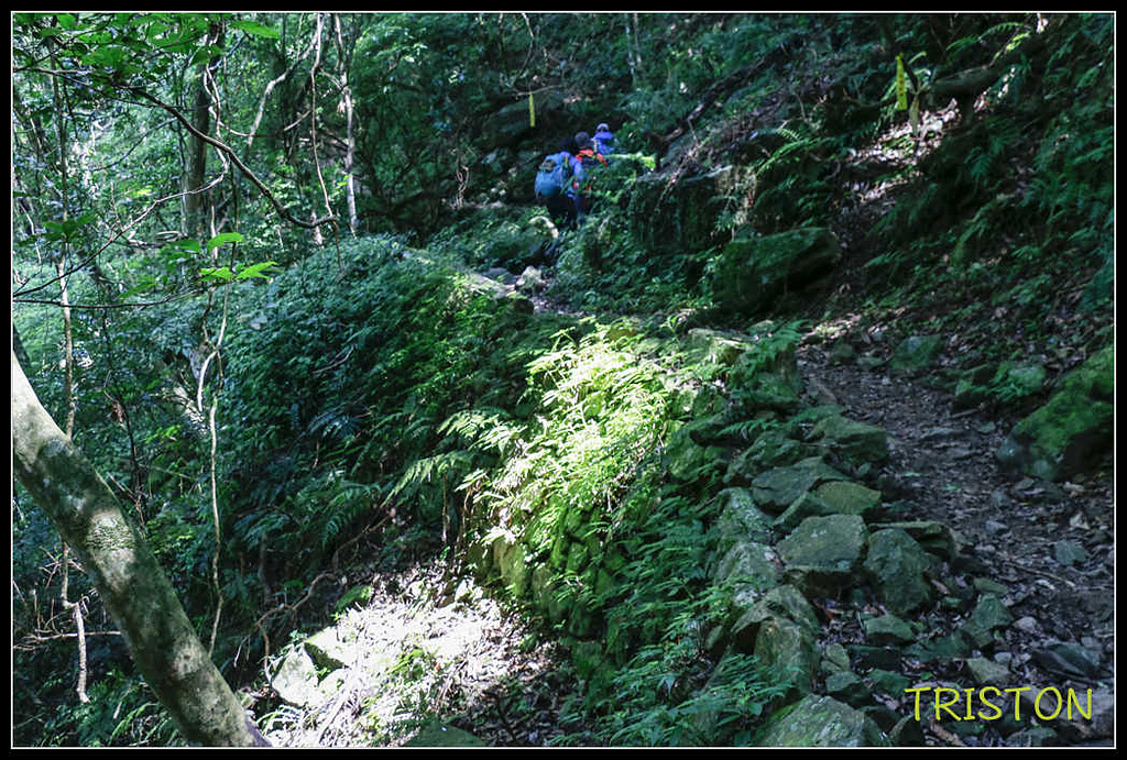 _MG_0020.jpg - 20170920 加里山