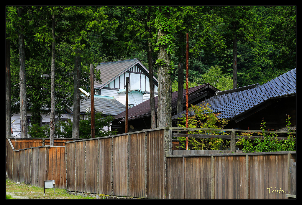 JH1A9884.jpg - 20150628 東京輕井澤日光