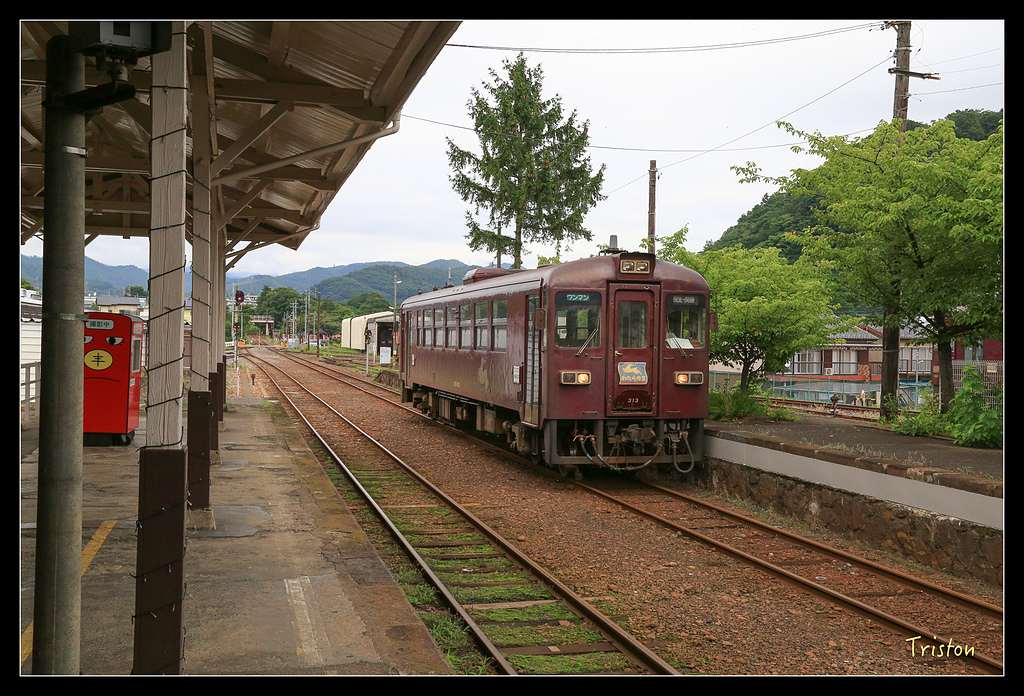 JH1A9702.jpg - 20150628 東京輕井澤日光
