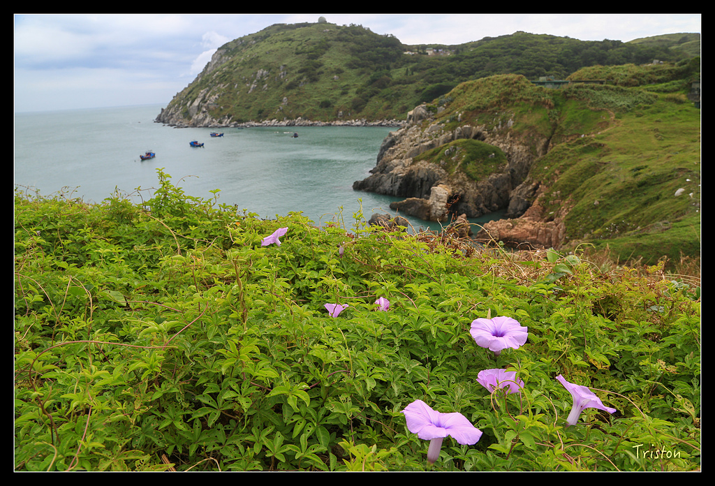 JH1A8386.jpg - 20150814 馬祖之旅