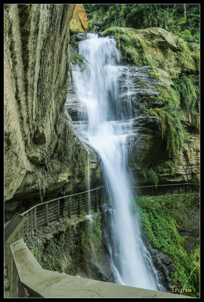 JH1A9885.jpg - 20151005 竹坑溪步道